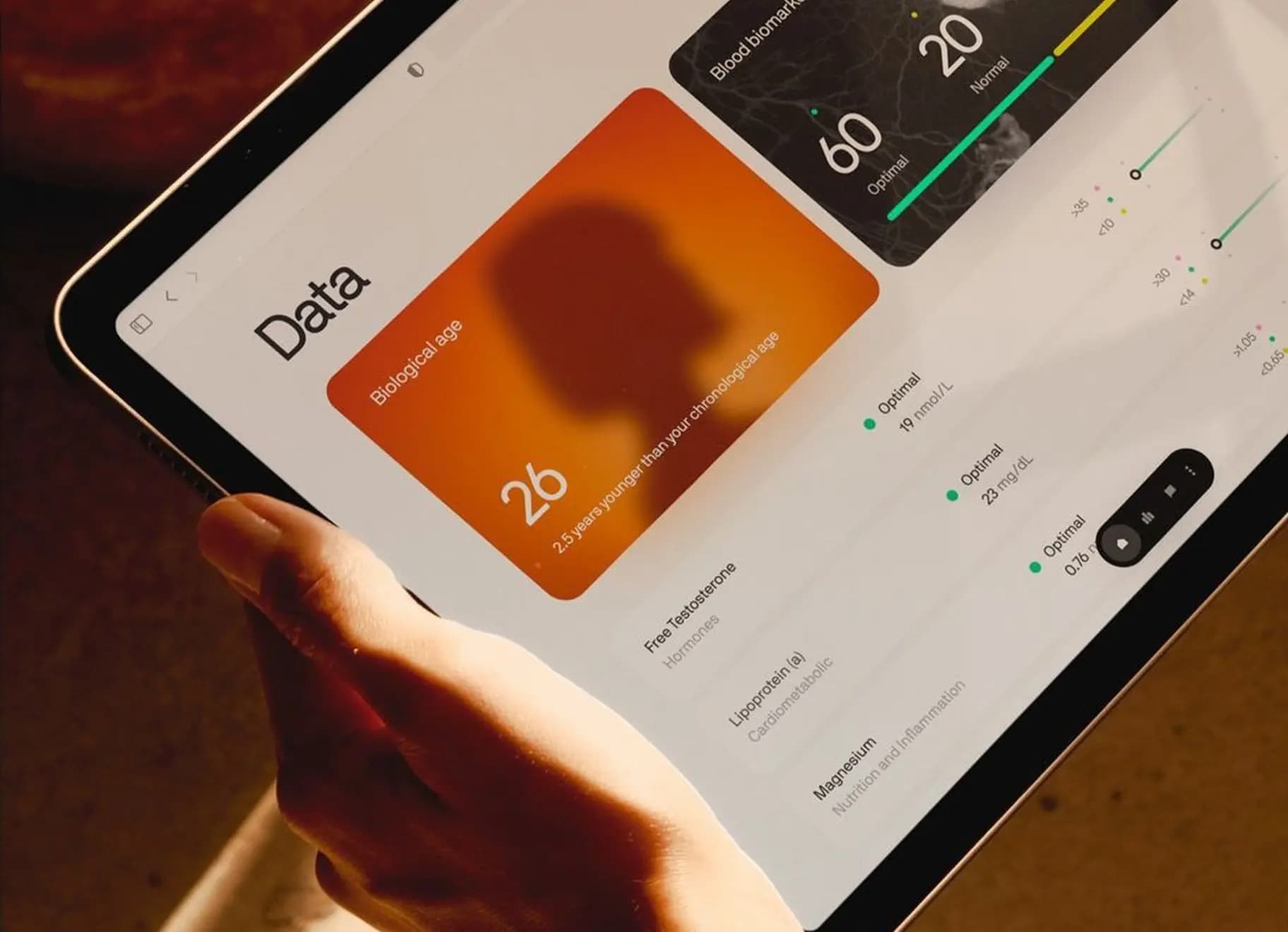 Health data dashboard project preview